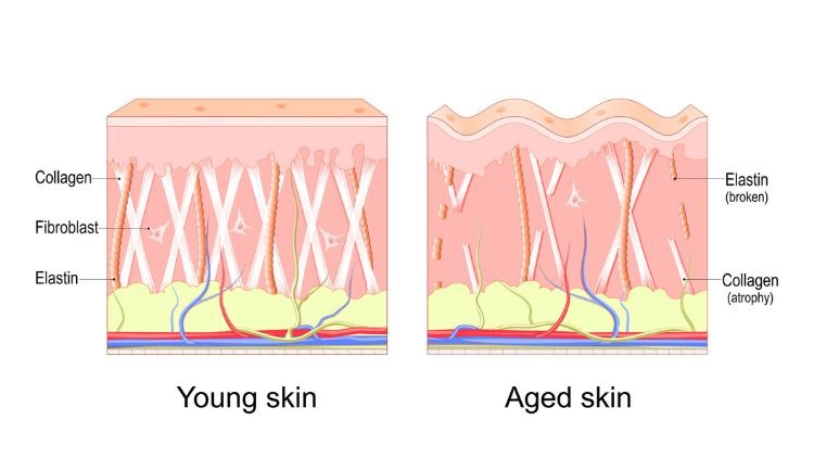Hand Rejuvenation - Skin Architect